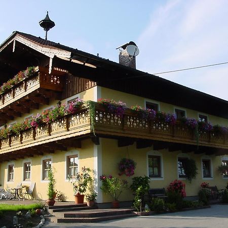 Gaestehaus Steinerhof Salzburg Zewnętrze zdjęcie